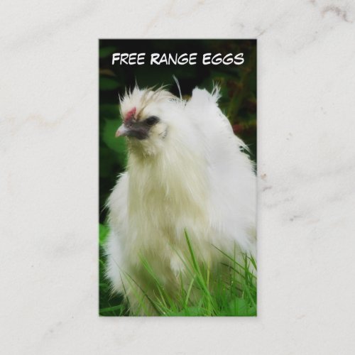 Free Range Eggs Layer or Poultry Bird Business Card Template