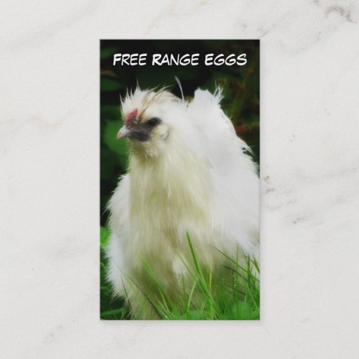 Customizable Free Range Eggs Layer or Poultry Bird Business Card Template