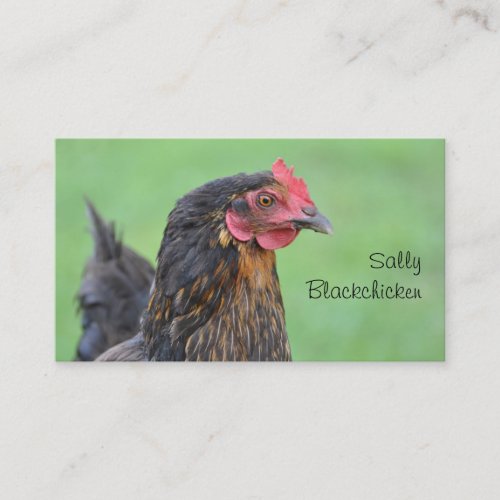Free range eggs business card