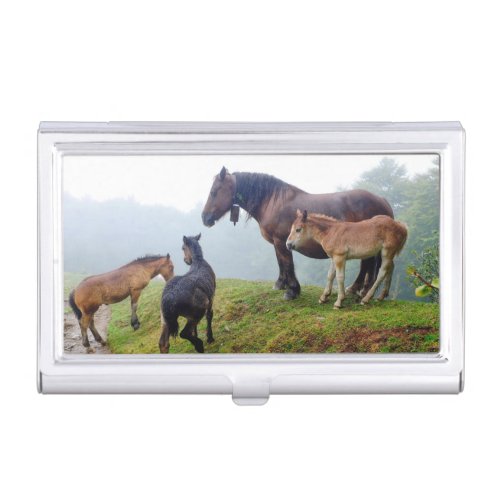 Free range horses business card case