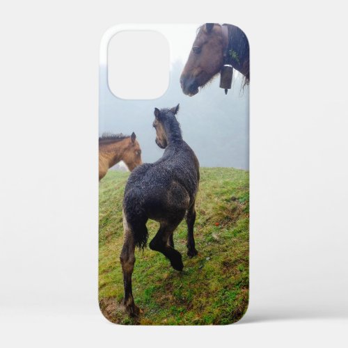 Free range horses iPhone 12 mini case