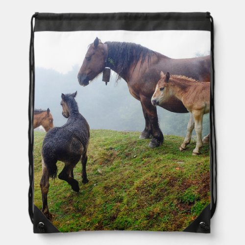 Free range horses drawstring bag