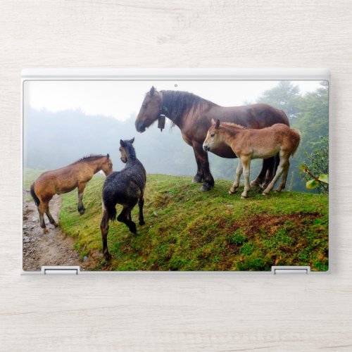 Free range horses HP laptop skin