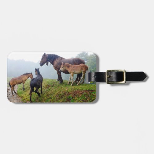 Free range horses luggage tag