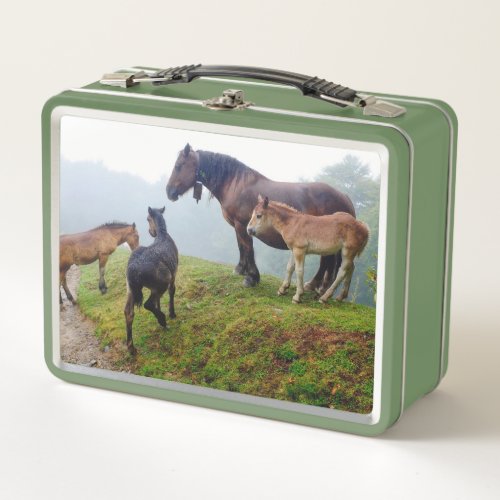 Free range horses metal lunch box