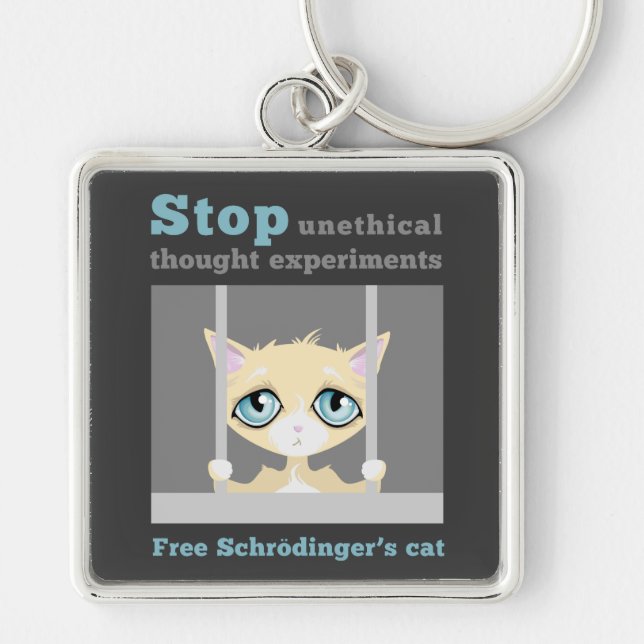 Free Schrodinger's Cat Keychain (Front)