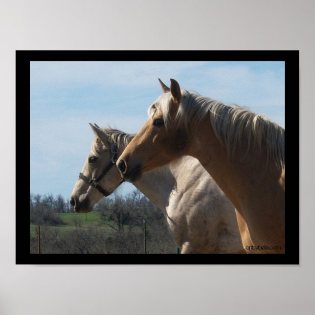 Free Spirit, Horse Lover's Poster - Large (Front)