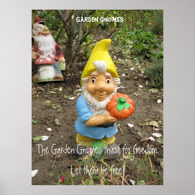 Free the Garden gnomes Poster (Front)