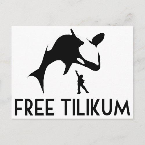 Free Tilikum Save the Orca Killer Whale Postcard