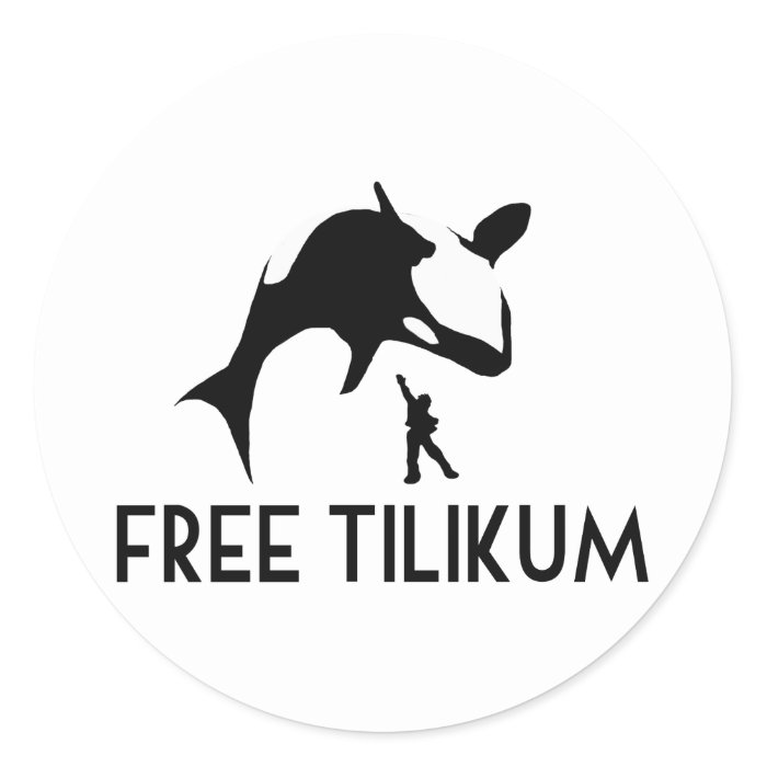 Free Tilikum Save the Orca Killer Whale Round Stickers