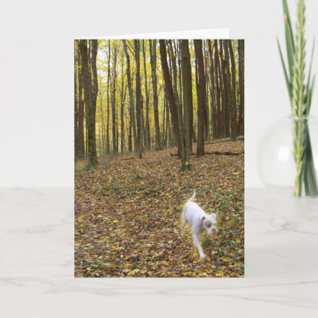 Free to Run Card (Front)