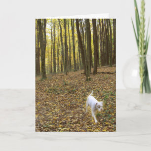 Free to Run Card