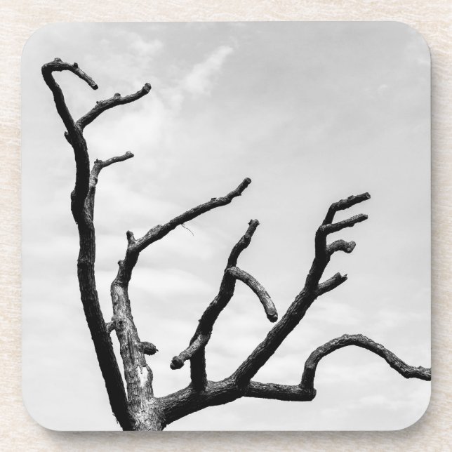 free tree beverage coaster (Front)