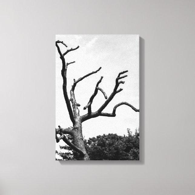 free tree canvas print (Front)