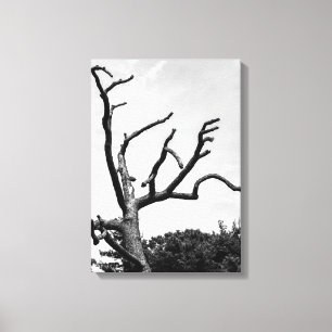 free tree canvas print