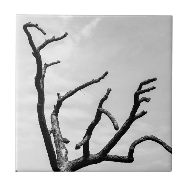 free tree ceramic tile (Front)