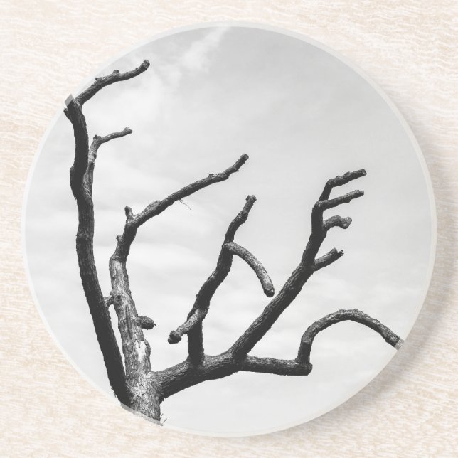 free tree coaster (Front)