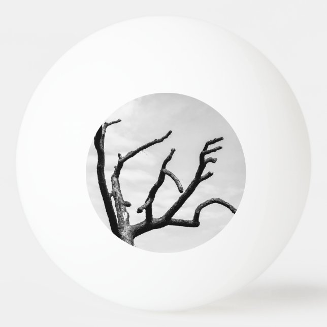 free tree Ping-Pong ball (Front)