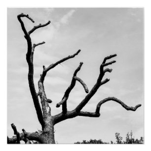 free tree poster