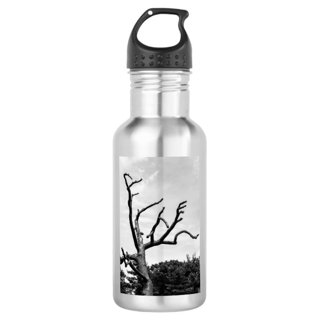 free tree water bottle (Front)