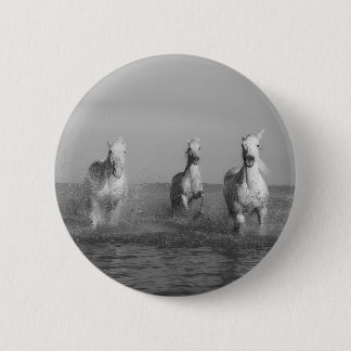 Free, white horses, black and white, sea, button