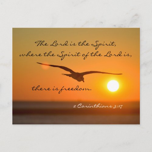 Freedom Bible Verse Bird Flying at Sunset Custom Postcard