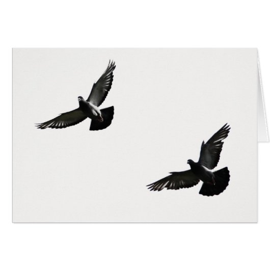freedom cards (Front Horizontal)