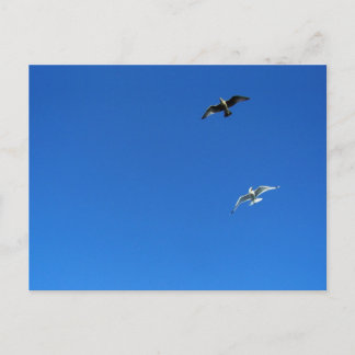 freedom dance postcard