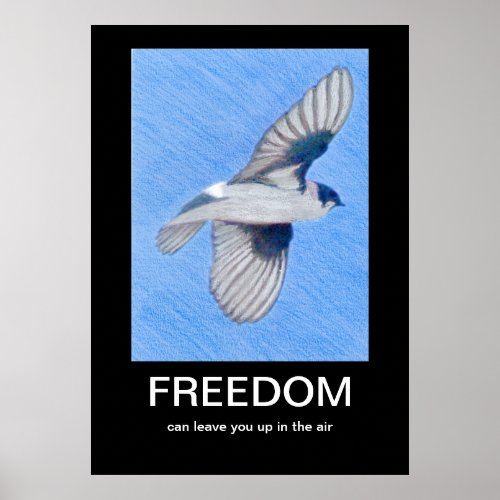 FREEDOM Demotivational poster
