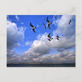 Freedom Flying Threw Our Wings Postcard