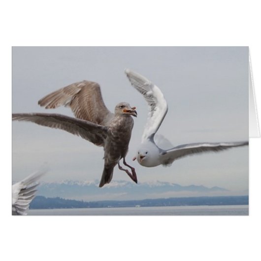 freedom fries 2 cards (Front Horizontal)