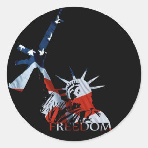 Freedom - Got guns? (Large Dark) Classic Round Sticker