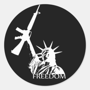 Freedom - Got guns? (Large Dark) Classic Round Sticker