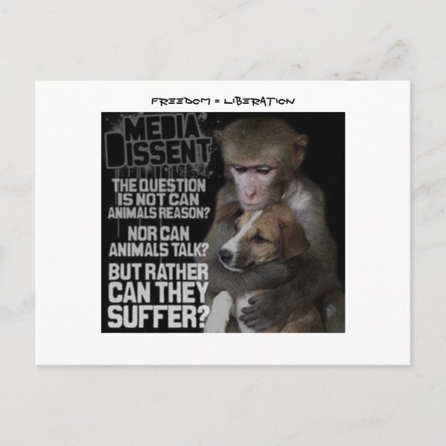 Freedom = Liberation Postcard (Front)