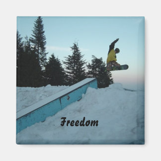 Freedom magnet
