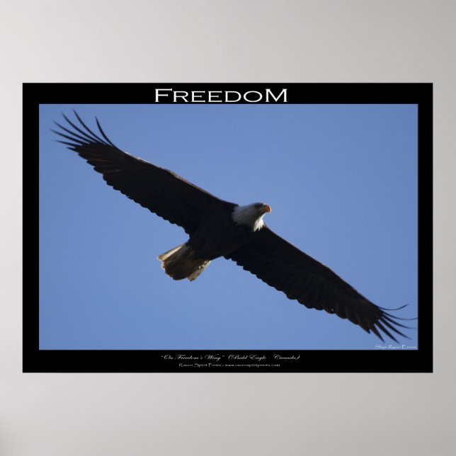 FREEDOM ~ Motivational Poster (Front)