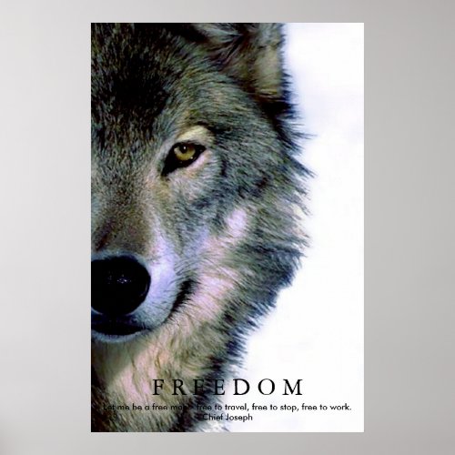 Freedom Motivational Wolf Eye Poster