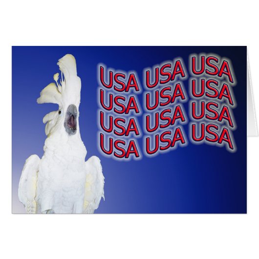 Freedom of Speech Cards (Front Horizontal)