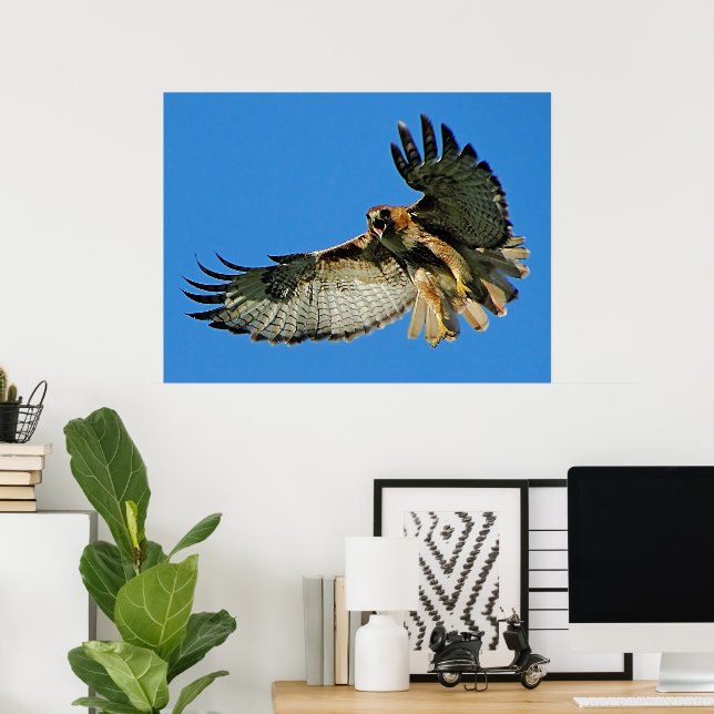 Freedom of the Skies Red-tailed Hawk Poster (Home Office)