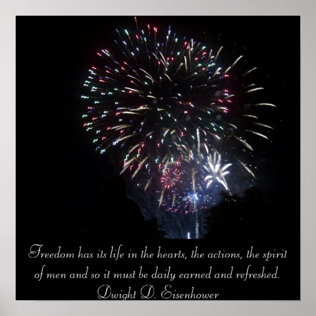 Freedom Poster (Front)