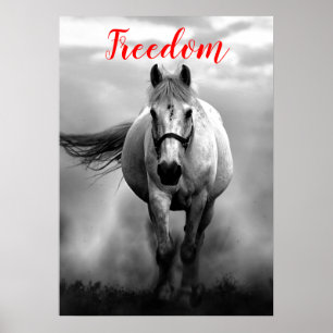 Freedom Red Black White Running Horses Poster