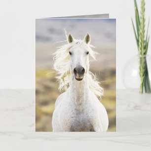 Freedom's Call Wild Horse Greeting Card
