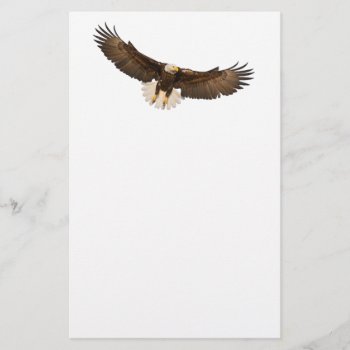 Freedoms Flight Stationery by images2go at Zazzle
