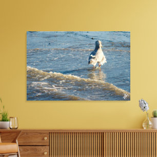 Freeland Mutiny Bay #2 Canvas Print