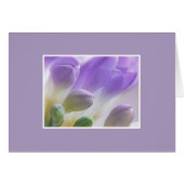 Freesia Buds (Front Horizontal)