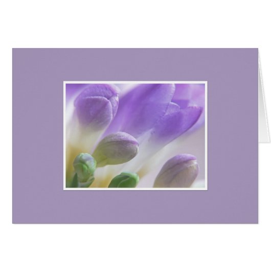 Freesia Buds Cards (Front Horizontal)