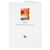 Freesia | cards (Back)