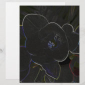 freesia flowers outlined (Front/Back)