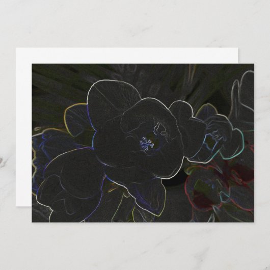 freesia flowers outlined (Front/Back)