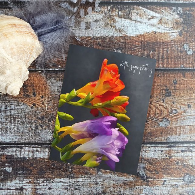 Freesia in a dark background. With Sympathy Postcard (Creator Uploaded)